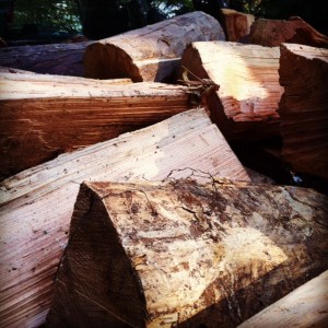 firewood